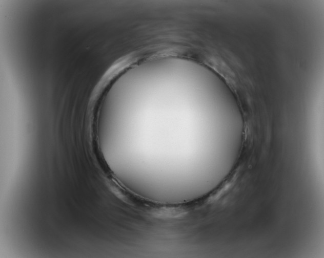 X0000083590101200703091728