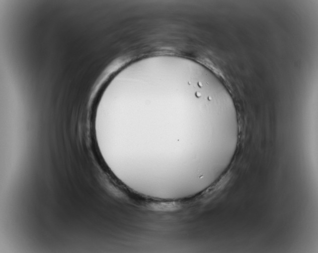 X0000083590102200703091728