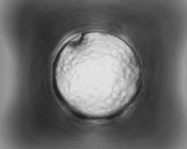 X0000083590103200703091728