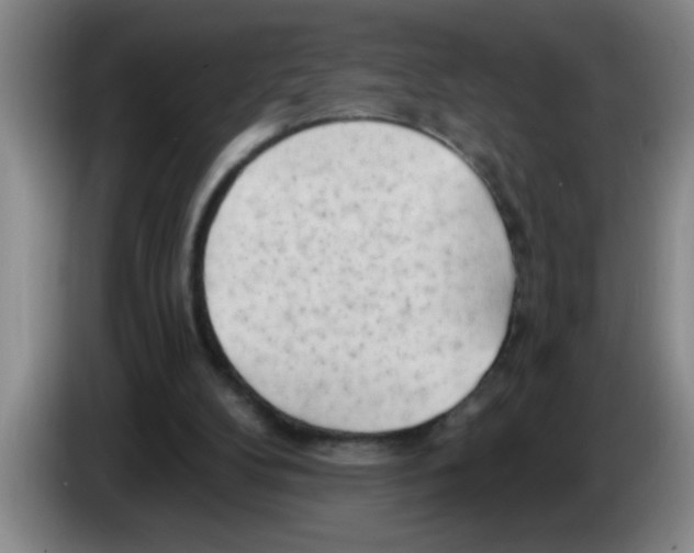 X0000083590104200703091728