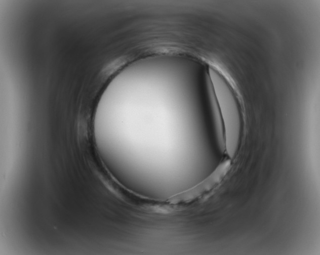 X0000083590105200703091728
