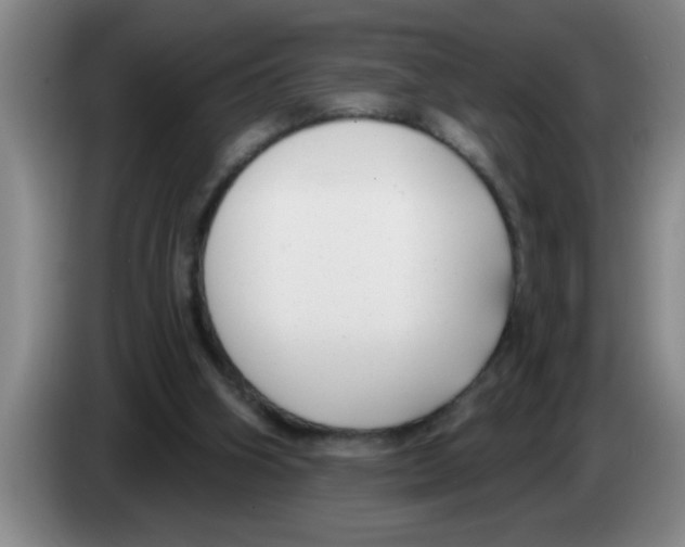 X0000083590106200703091728