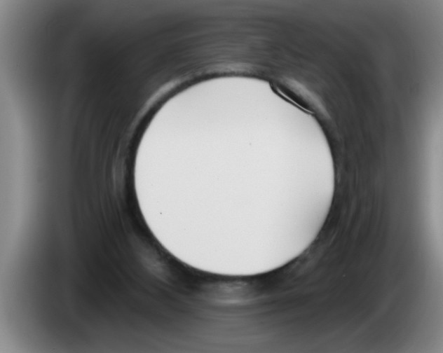 X0000083590108200703091728