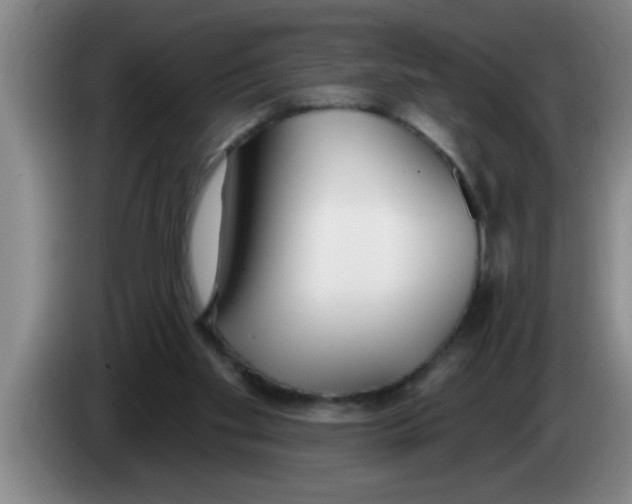 X0000083590109200703091728