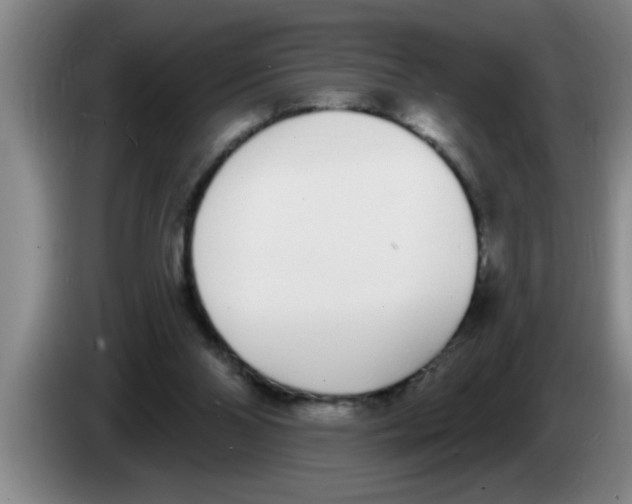 X0000083590110200703091728