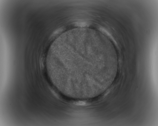 X0000083590114200703091728
