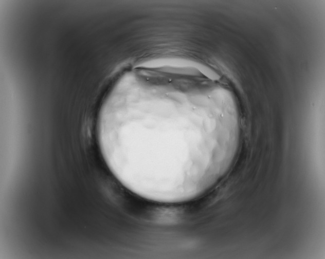 X0000083590115200703091728