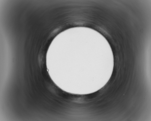 X0000083590116200703091728