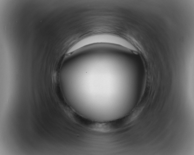 X0000083590117200703091728