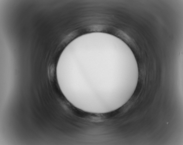 X0000083590118200703091728