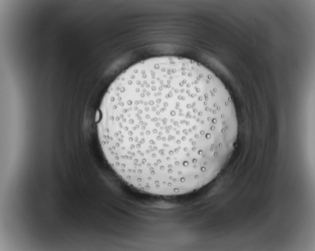 X0000083590119200703091728
