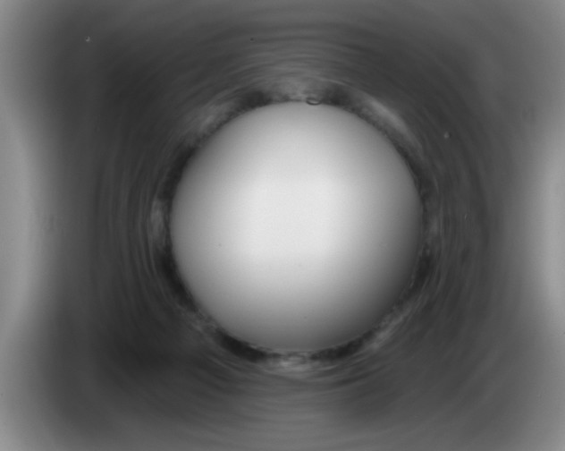 X0000083590121200703091728