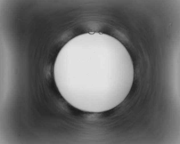 X0000083590122200703091728