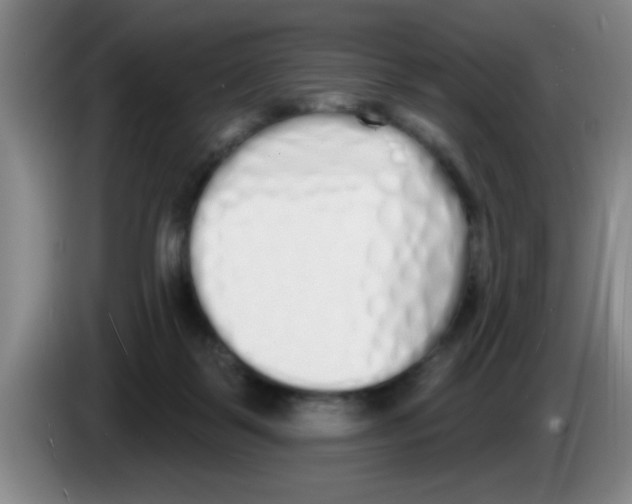 X0000083590123200703091728