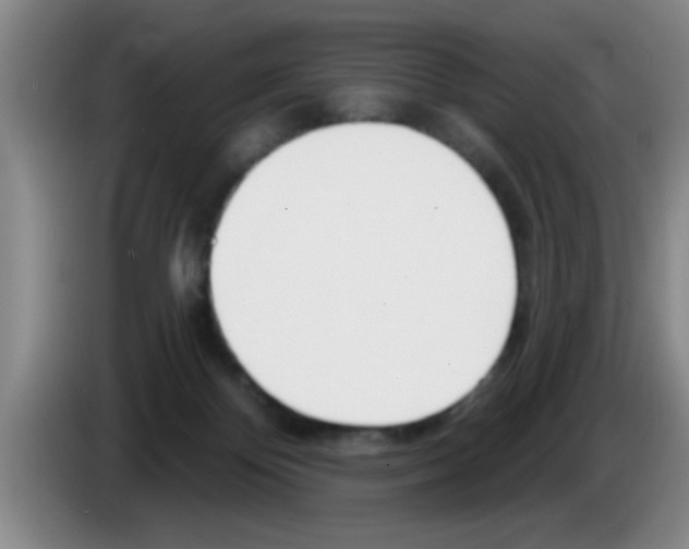 X0000083590124200703091728