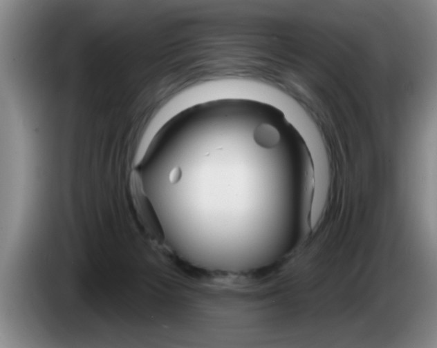 X0000083590125200703091728