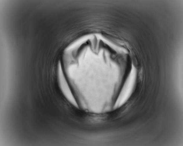 X0000083590127200703091728