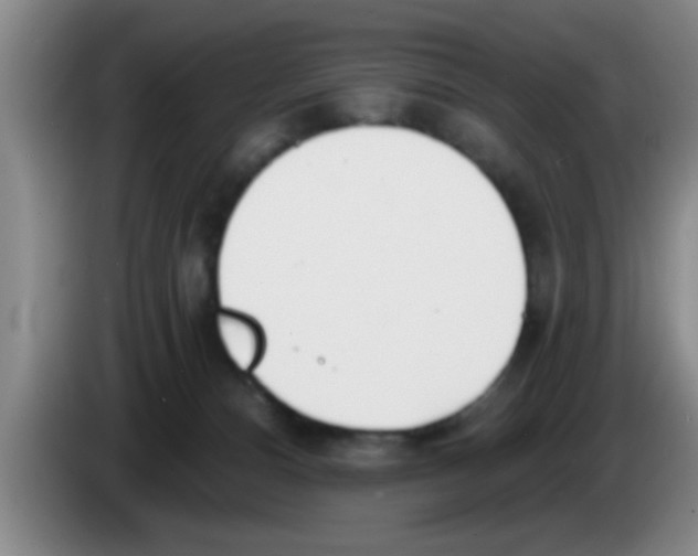 X0000083590128200703091728
