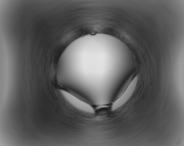 X0000083590129200703091728