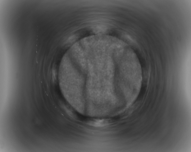 X0000083590130200703091728