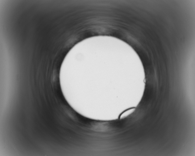 X0000083590132200703091728