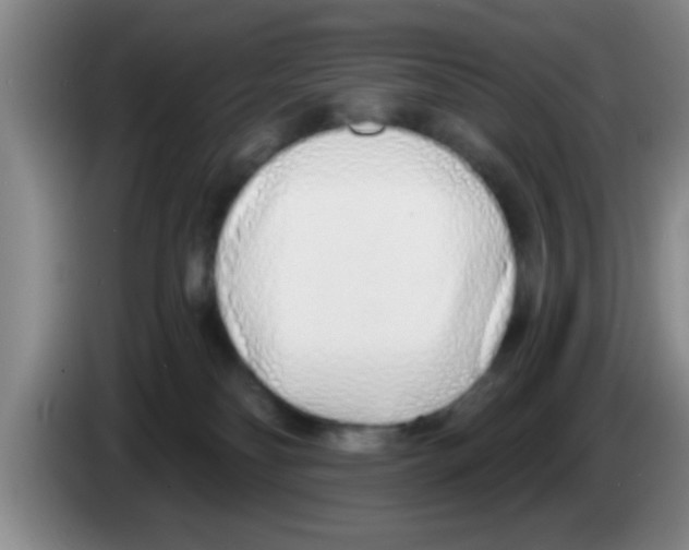 X0000083590134200703091728