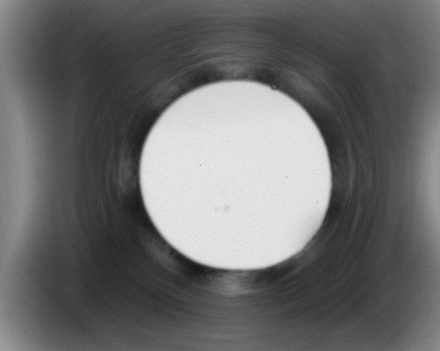 X0000083590136200703091728