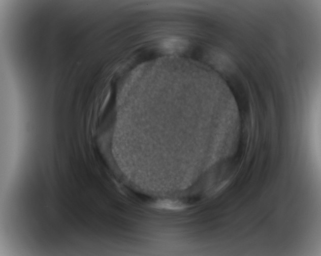 X0000083590137200703091728