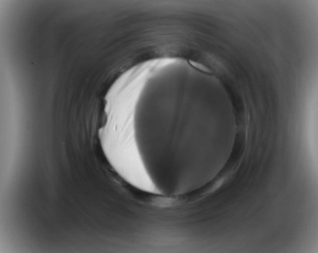 X0000083590139200703091728