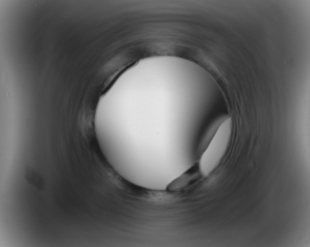 X0000083590141200703091728