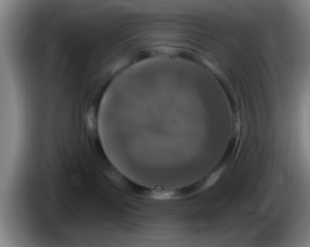 X0000083590143200703091727