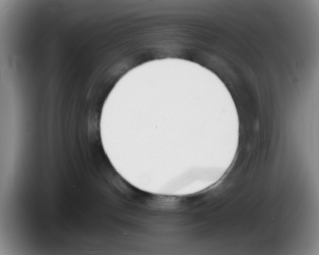 X0000083590144200703091727