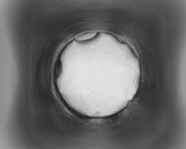 X0000083590145200703091727