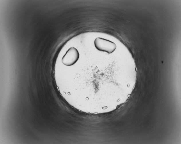 X0000083590146200703091727