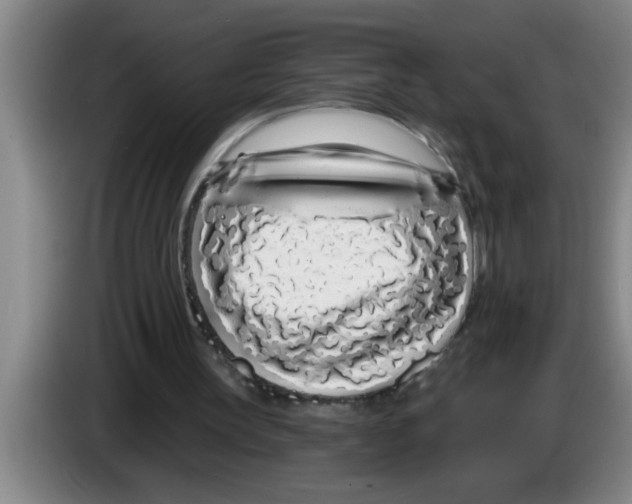 X0000083590147200703091727