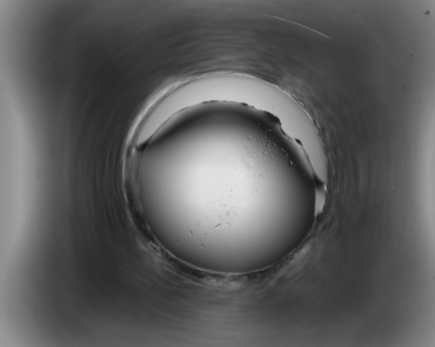 X0000083590148200703091727