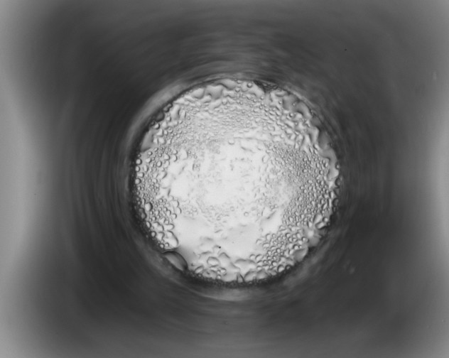 X0000083590149200703091727