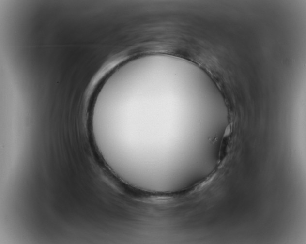 X0000083590150200703091727