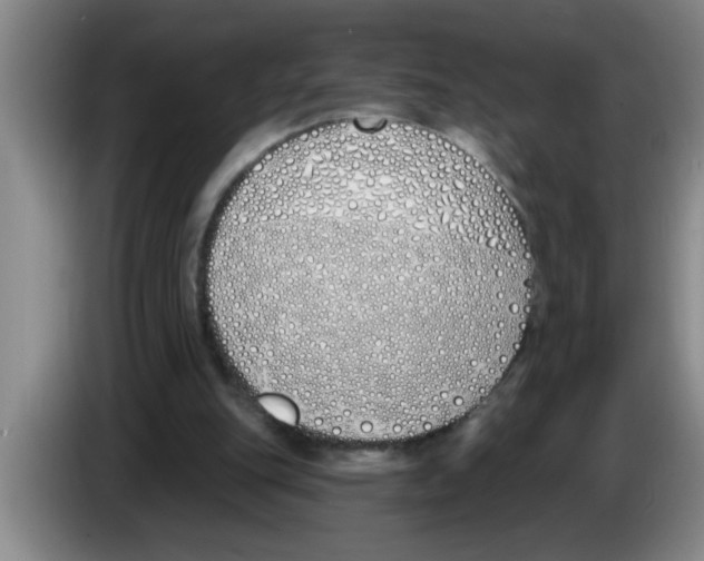 X0000083590151200703091727
