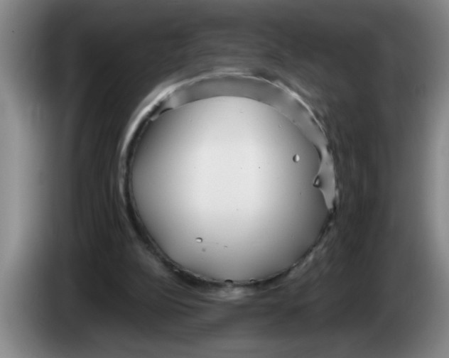 X0000083590152200703091727