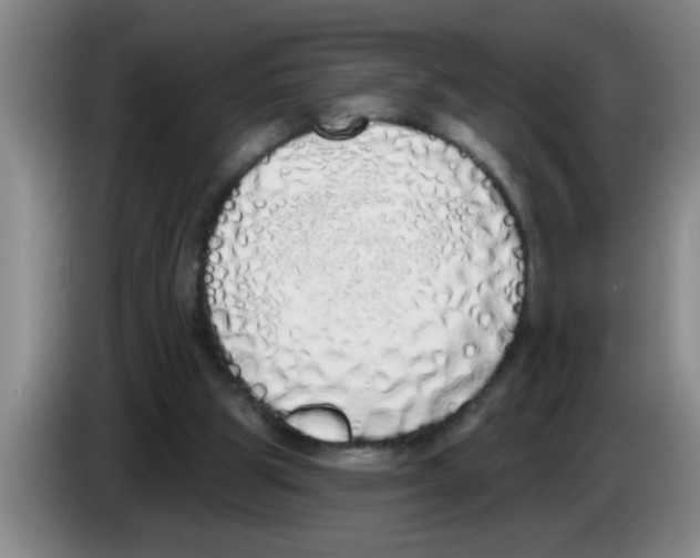 X0000083590153200703091727