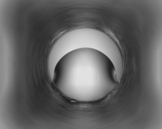 X0000083590154200703091727