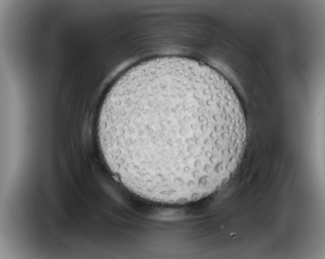 X0000083590155200703091727