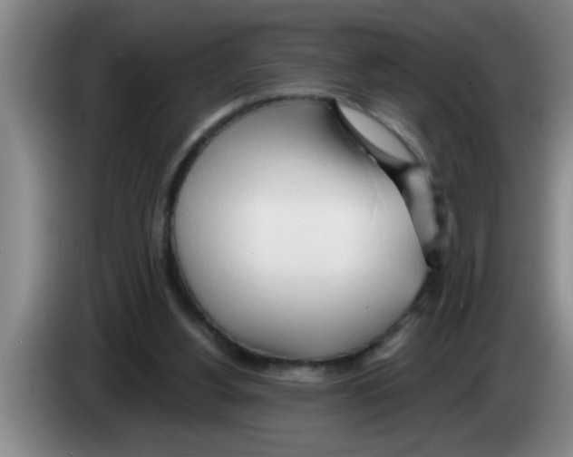 X0000083590156200703091727