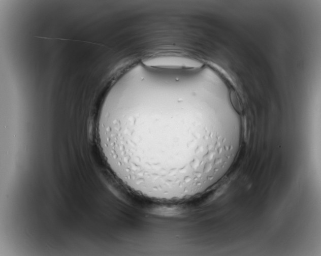 X0000083590157200703091727
