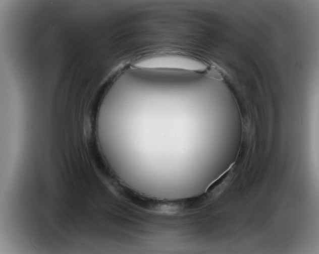 X0000083590158200703091727