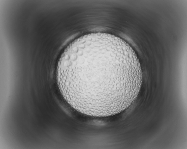 X0000083590159200703091727