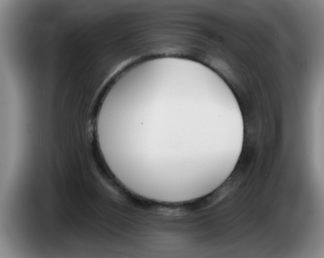 X0000083590160200703091727
