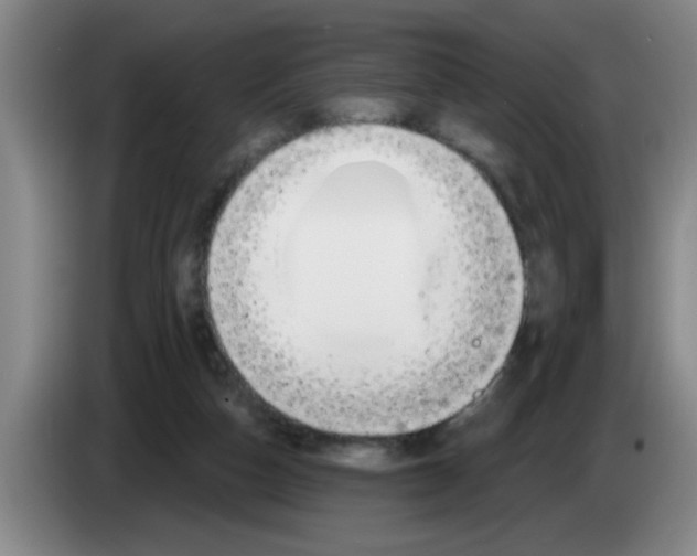 X0000083590162200703091727