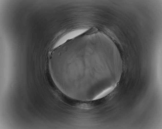 X0000083590163200703091727